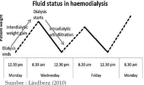Gambar 5 Status cairan dalam hemodialisa 