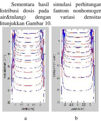 Gambar 10. Kurva Isodosis 2D terkoreksi dengan