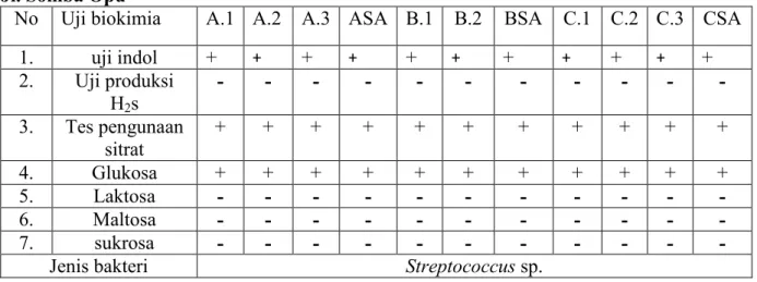 Tabel 4.3 Pengamatan Biokimia Bakteri Resiten Merkuri Di Saluran Pembuangan   Jl. Somba Opu 