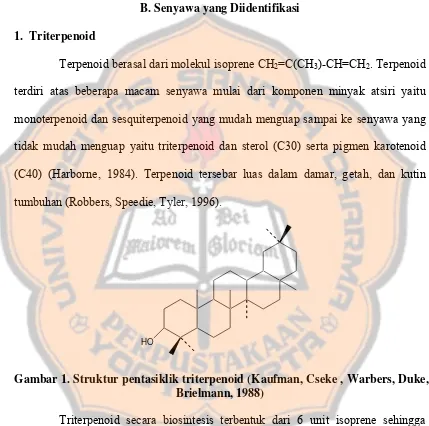Gambar 1. Struktur pentasiklik triterpenoid (Kaufman, Cseke , Warbers, Duke, 