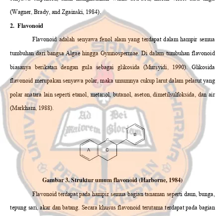 Gambar 3. Struktur umum flavonoid (Harborne, 1984) 