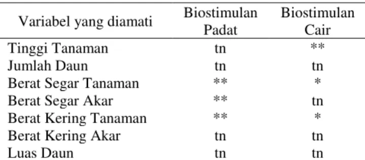 Tabel  2.  menunjukkan  bahwa  biostimulan  padat  memberikan  pengaruh  yang  tidak  nyata  pada  parameter  tinggi tanaman, jumlah daun, berat kering akar, dan luas  daun