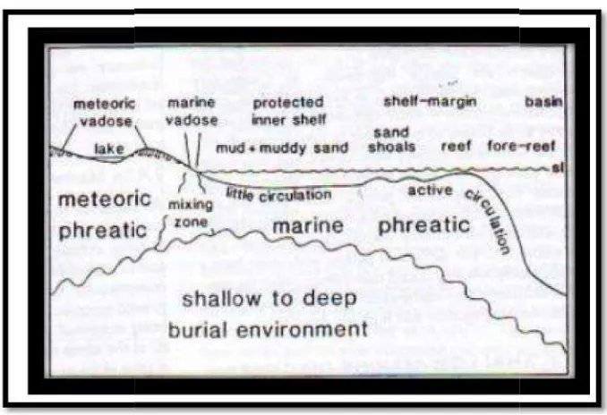 Gambar 11r 11. Lingkungan diagenesis Tucker Dan Wright (1990(1990)