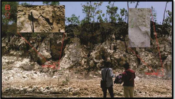 Gambar 19. Singkapabarat (foramineapan batuan karbonat fasies packstone. Foto diambi (Kanan)