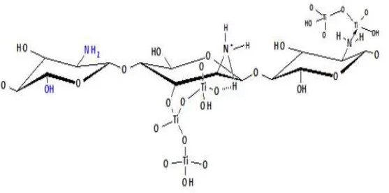 Gambar 1. Reaksi pembentukan nanokomposit TiO 2 /Kitosan (Fajriati et al., 2014) 