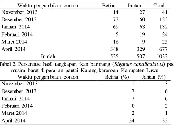 Tabel  1. Distribusi  jumlah  (ekor) ikan  baronang  (Siganus canaliculatus)  pada musim  barat di perairan  pantai  Karang-karangan  Kabupaten  Luwu 