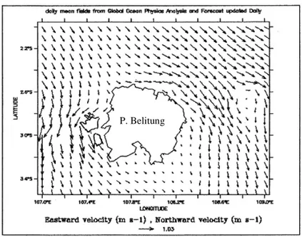 Gambar 3. Pola Arus Perairan Laut Belitung    