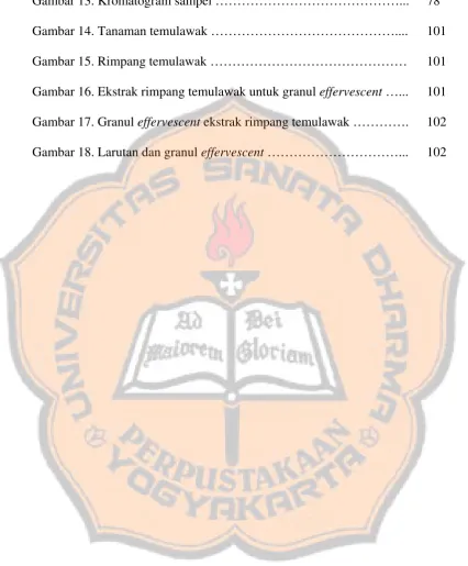 Gambar 13. Kromatogram sampel ……………………………………... 
