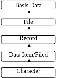 Gambar 2.1 Hirarki Data Suatu Basis Data