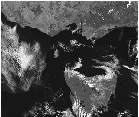 Gambar 4. Hasil citra foto dari satelit cuaca NOAA 