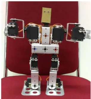 Gambar 6. Humanoid robot 