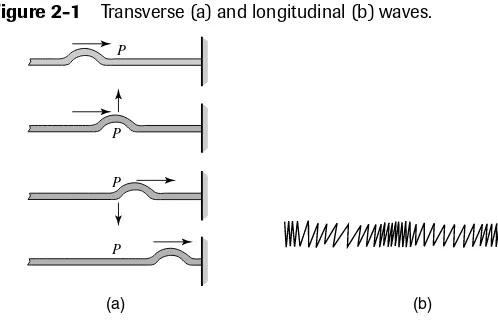 Figure 2-1Transverse (a) and longitudinal (b) waves.