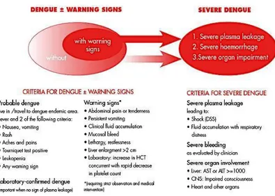 Gambar  1. Klasifikasi Derajat Dengue 6