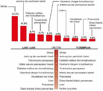 Gambar 2.4Sepuluh besar penyakit penyebab kematian di Indonesia