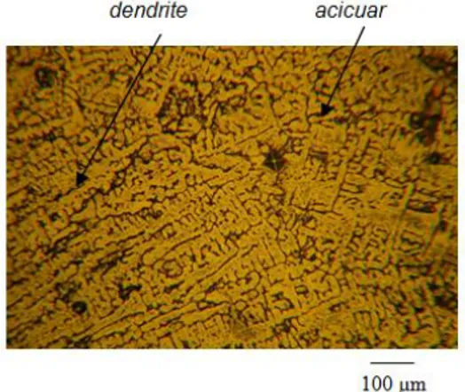 Gambar  1.  Mikrostruktur  ingot  leburan  paduan Zr-0,4%Mo-0,5%Fe-0,5%Cr 