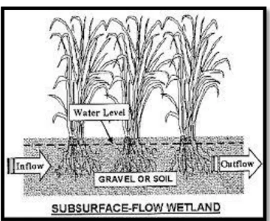 Gambar 2. sistem aliran   SSF-wetland 