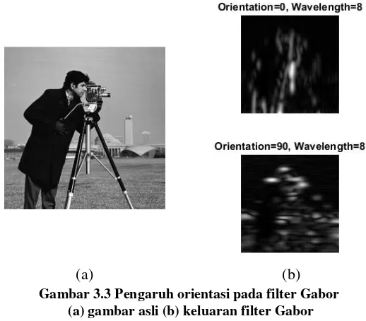 Gambar 3.3 Pengaruh orientasi pada filter Gabor 
