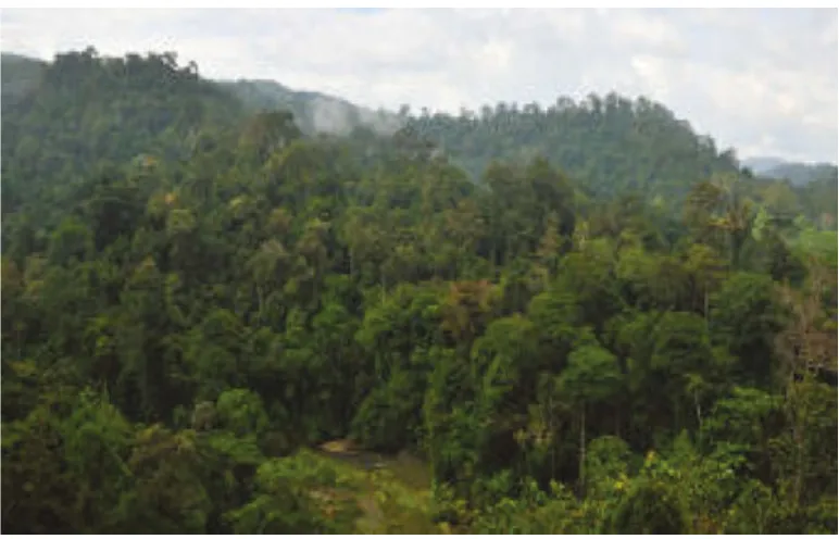 Gambar 3.16 Hutan yang masih lestari sebagai sumber mata air, dan berfungsi sebagai konservasi alam