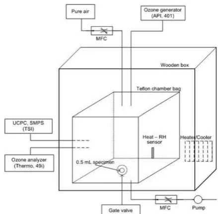 Fig. 1. Schematics of experimental setup.