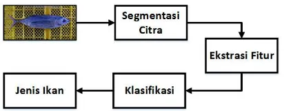 Gambar 2. 2 Skema Umum Segmentasi Untuk Klasifikasi 