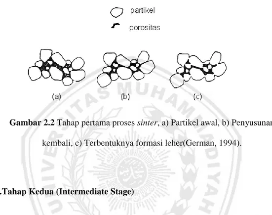 Gambar 2.2 Tahap pertama proses sinter, a) Partikel awal, b) Penyusunan  kembali, c) Terbentuknya formasi leher(German, 1994)