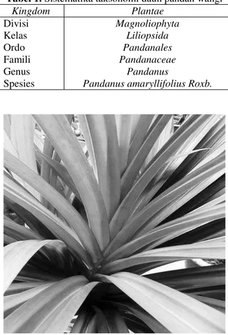 Tabel 1. Sistematika taksonomi daun pandan wangi 