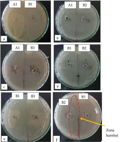 Gambar 1. Uji antagonisme konsorsium isolat bakteri endofit dari akar tanaman ubi jalar var