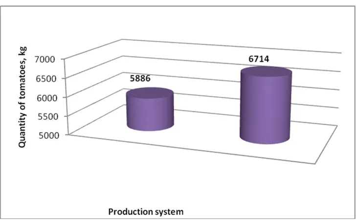 Figure 2. Comparison of production (kg of tomato) between production systems, in the location of La Merced-Caldas, 2010