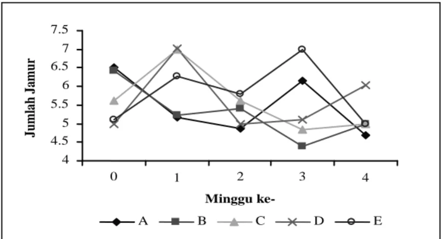 Gambar 4. Perubahan jumlah koloni jamur selama masa perlakuan. 