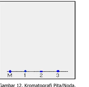 Gambar 12. Kromatografi Pita/Noda. 