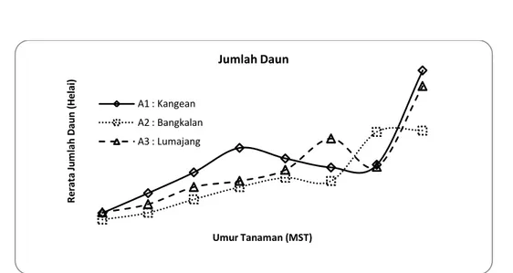 Gambar 3. Grafik rata- rata jumlah daun pada berbagai perlakuan 