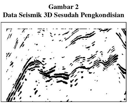 Gambar 1 Data Seismik 3D Sebelum Pengkondisian  