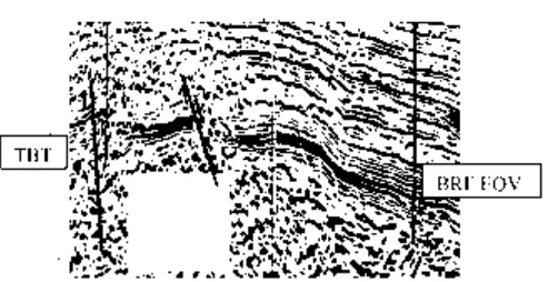 Gambar 3 Interpretasi horizon daerah target (BRF EQV dan TBT)  