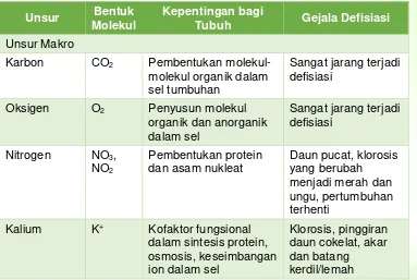Tabel  3. Nutrisi Yang Dibutuhkan Tumbuhan 