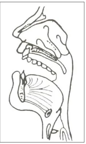 Gambar 6. Posisi mulut untuk ‘a’