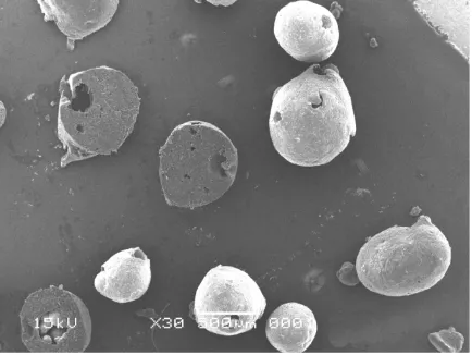 Gambar 2. Foto Microscope Scanning Electron (SEM) Mikrokapsul formula 4 pada pembesaran 100 kali