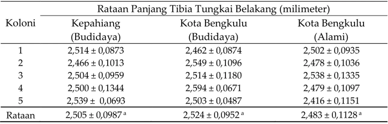 Tabel  4.  Rataan  panjang  tibia  tungkai  belakang  lebah  madu  pekerja A. cerana berdasarkan dua ketinggian tempat yang berbeda.