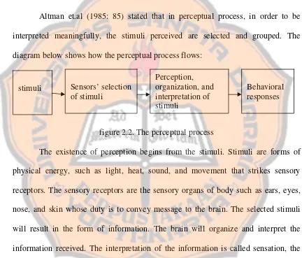 figure 2.2. The perceptual process 