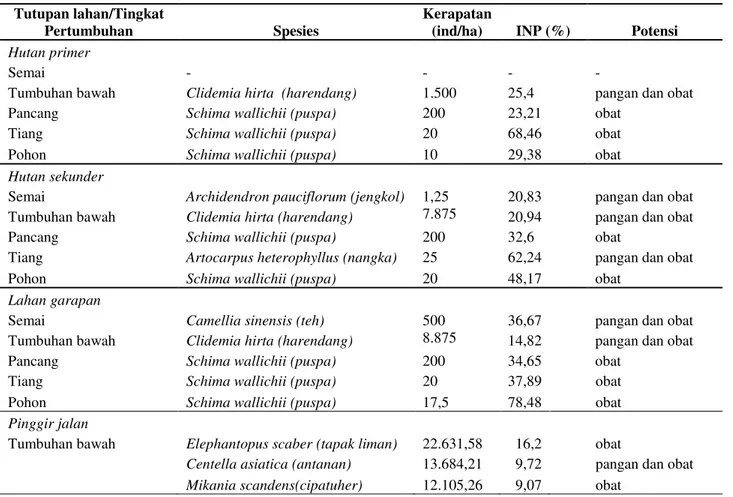 Tabel 2  INP tertinggi tumbuhan pangan dan obat hasil analisis vegetasi  Tutupan lahan/Tingkat 