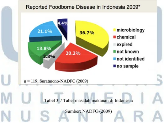 Tabel 3.7 Tabel masalah makanan di Indonesia  Sumber: NADFC (2009) 