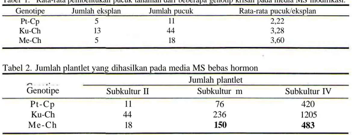 Tabel 1. Rata-rata pembentukan pucuk tanaman dari beberapa genotip krisan pada media MS modifikasi