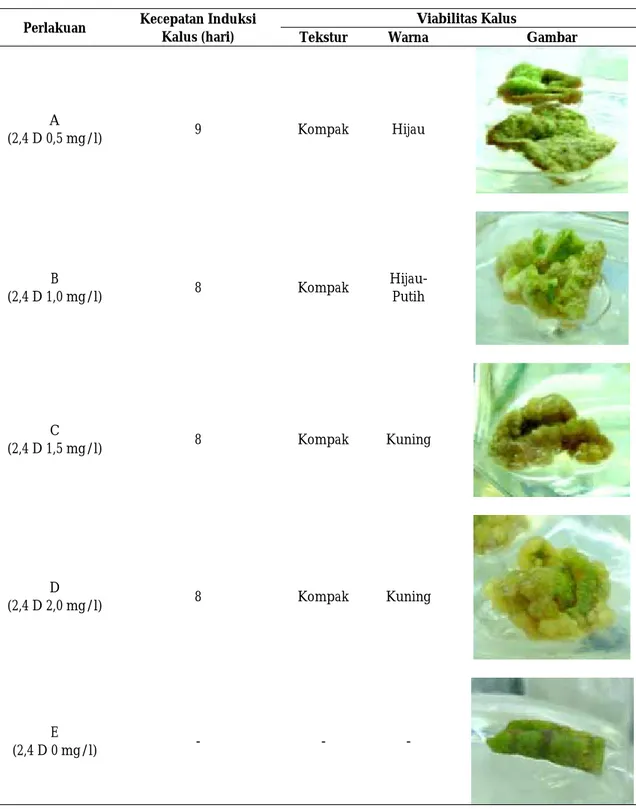 Tabel 1. Hasil rerata kecepatan induksi dan viabilitas kalus stevia pada medium NP secara in vitro  Perlakuan  Kecepatan Induksi 