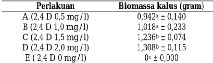Tabel 2. Rerata biomassa kalus daun tanaman stevia  Perlakuan   Biomassa kalus (gram)  A (2,4 D 0,5 mg/l)  0,942 a  ± 0,140  B (2,4 D 1,0 mg/l)  1,018 a  ± 0,233  C (2,4 D 1,5 mg/l)  1,236 b  ± 0,074  D (2,4 D 2,0 mg/l)  1,308 b  ± 0,115  E ( 2,4 D 0 mg/l)