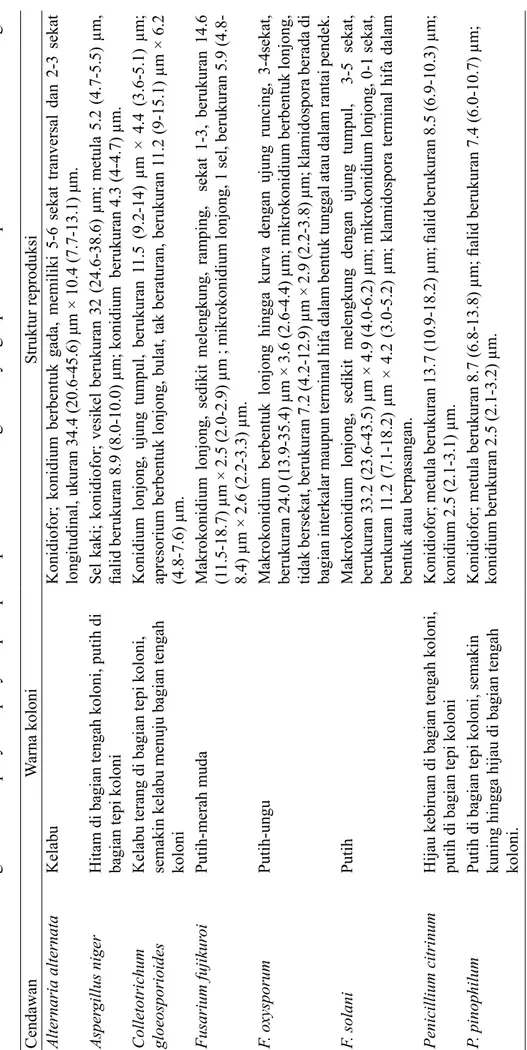 Tabel  2  Karakter morfologi cendawan penyebab penyakit pascapanen pada umbi bawang merah yang diperoleh dari pasar tradisional di Kota Bogor Cendawan Warna koloniStruktur reproduksi Alternaria alternataKelabuKonidiofor; konidium berbentuk gada, memiliki 5
