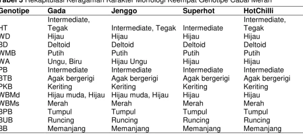 Tabel 3 Rekapitulasi Keragaman Karakter Morfologi Keempat Genotipe Cabai Merah 