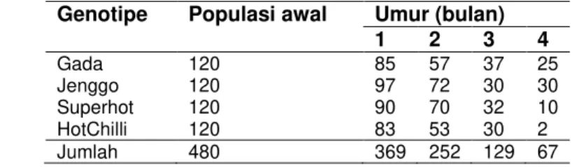 Tabel 5 Jumlah Kematian Tanaman Tiap Genotipe Cabai Merah Akibat Serangan Hama atau  Penyakit 