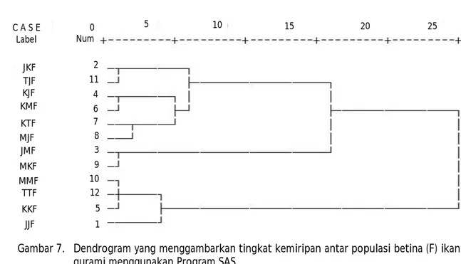 Figure 7. The dendrogram depicting the morphological similarity amongseveral male population  of giant  gourami using SAS Programe