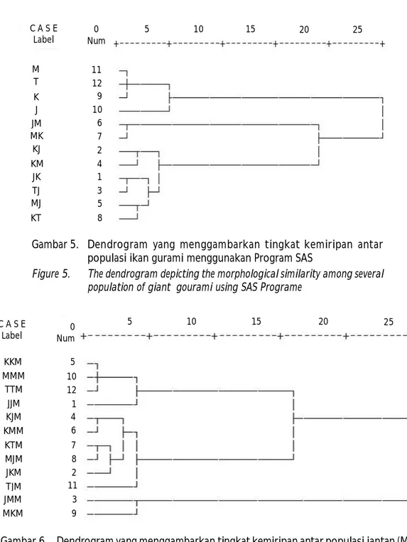 Gambar 5. Dendrogram  yang  menggambarkan  tingkat  kemiripan  antar populasi ikan gurami menggunakan Program SAS