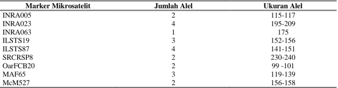Tabel 2. Allel Microsatellite, jumlah alel dan ukuran allel 