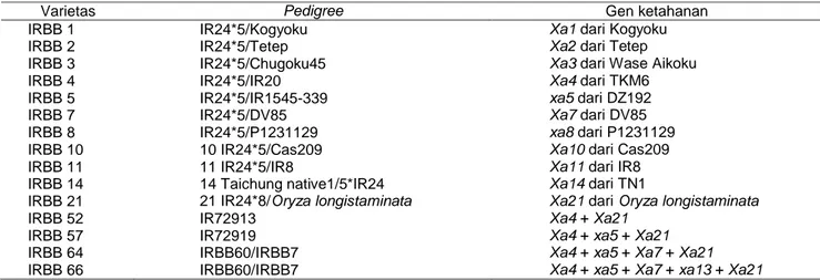 Tabel 1 Galur IRBB dengan gen ketahanannya terhadap penyakit HDB 